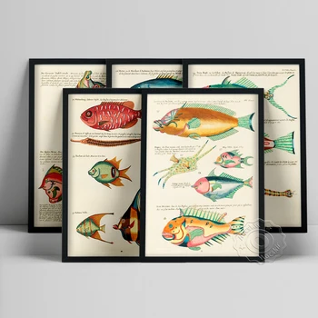 Красивая рыба Плакат Луи Ренара, причудливые отпечатки иллюстраций морской жизни рыб, винтажная картина Фиска, декор стены галереи